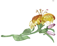 Cristalleria Swarovski Florere in Cristallo 5671725 - 5671725